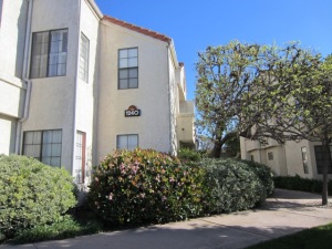 1240  Franciscan