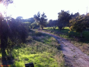 1990  LAS CANOAS RIDGE