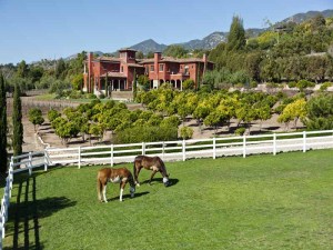 338  TORO CANYON