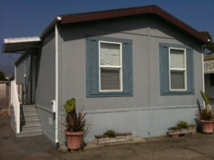 520  PINE