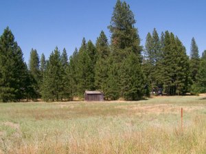 Shingletown    Commercial Land 10-3701
