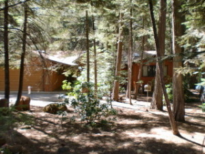SHINGLETOWN  Single Family  Residential 10-3816
