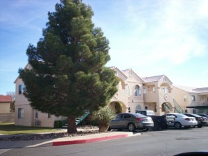 Photo of Listing #11-134150