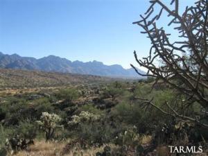  N Lago Del Oro Pkwy Tucson Arizona 85739