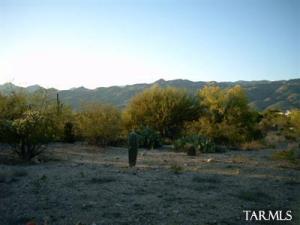 3181 N Adelle Pl Tucson Arizona 85749