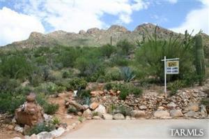 570  San Moritz  Tucson Arizona 85737