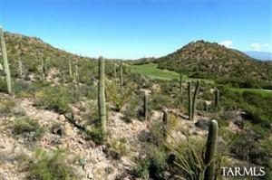 3167 W Sparkling Starr Dr Tucson Arizona 85745