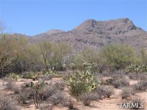 4222 W Butterfly Mountain Dr Marana Arizona 85653