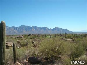 1178 W Tortolita Mountain Cir Oro Valley Arizona 85755