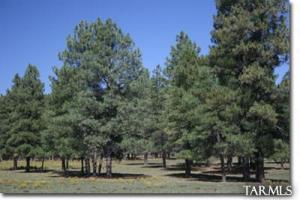  S Fox Ranch Rd Flagstaff Arizona 86017
