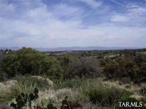   Javalina St Oracle Arizona 85623