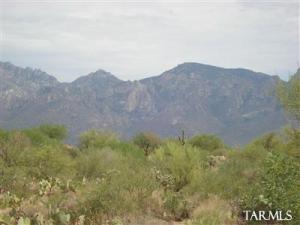 1184 W Weathered Stone Pl Oro Valley Arizona 85737