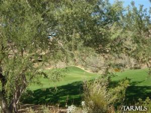 1002 W Tortolita Mountain Cir Oro Valley Arizona 85755