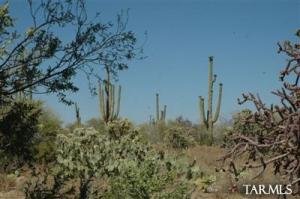 4650 W Placita Madre Isabella  Tucson Arizona 85742
