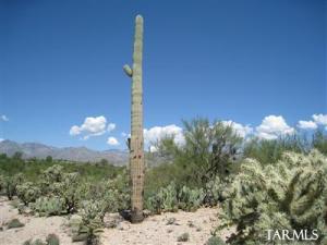 9889 E Martin Dr Tucson Arizona 85749