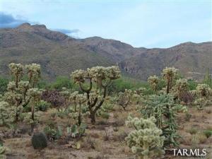 4855 N Placita Pajarillo  Tucson Arizona 85749