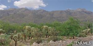 4827 N Placita Pajarillo  Tucson Arizona 85749