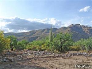 5027 N Placita Osito Negro  Tucson Arizona 85749