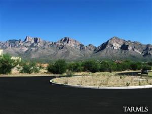 523 E Parker Point Pl Oro Valley Arizona 85737