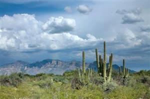 12430 N Faraway Wash Tr Marana Arizona 85658