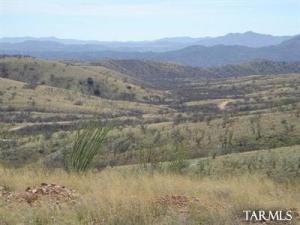 20 Camino Los Vientos Patagonia Arizona 85624
