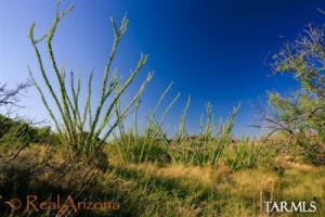 15 W Bond Canyon Rd Tubac Arizona 85646