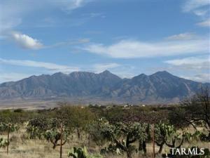 3351 W Calle Uno  Green Valley Arizona 85622