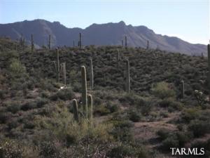 5891 W El Camino Del Cerro Parcel 2  Tucson Arizona 85745