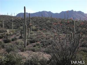 5891 W El Camino Del Cerro Parcel 1  Tucson Arizona 85745