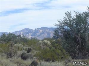 5606 W Oasis Rd Tucson Arizona 85742