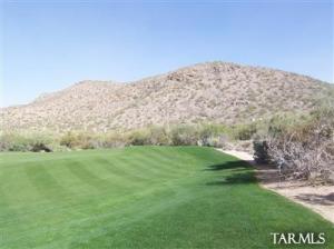 14558 N Sunset Gallery Dr Marana Arizona 85658