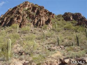 4785 W Nebraska  Tucson Arizona 85746