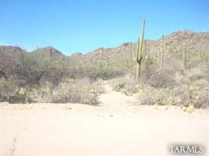 14121 N Gecko Canyon  Tucson Arizona 85755