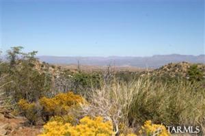 35 S Hobe  Oracle Arizona 85623
