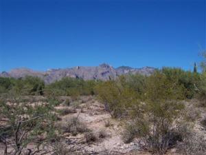 2420 E Camino Miraval  Tucson Arizona 85718