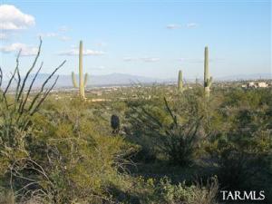 5593 N Park Ridge Pl Tucson Arizona 85743