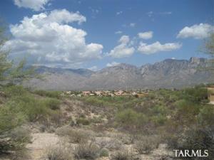 12236 N Red Mountain Dr Oro Valley Arizona 85755