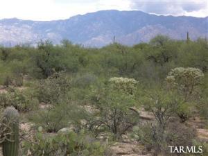 12390  Faraway Wash Lot 141  Marana Arizona 85658