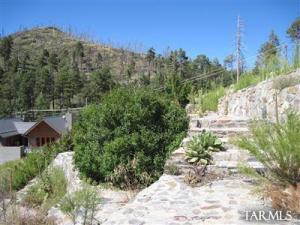11318  Bisbee Ave Mt. Lemmon Arizona 85619