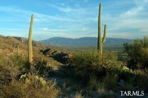 6801 N Hole in the Wall  Tucson Arizona 85750