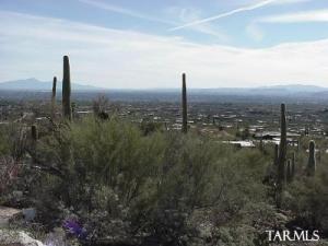 4678 E Palais Pl Tucson Arizona 85718
