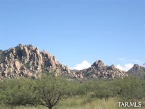 185 N Butterfly Ln St. David Arizona 85630
