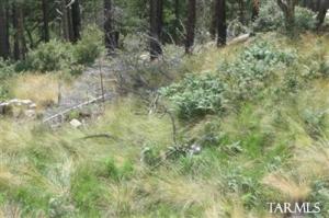 12617  Ajo Ave Mt. Lemmon Arizona 85619