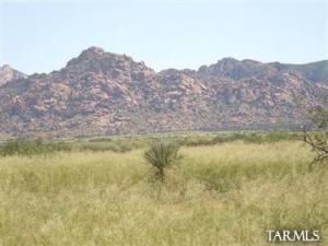 1 E Cochise Tr St. David Arizona 85630