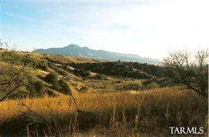 1 E Sonoita Springs Ranch Rd Patagonia Arizona 85624