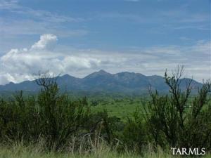   Ambrose  Sonoita Arizona 85637