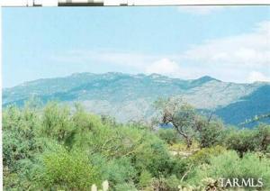 15325 E Tumbling L Ranch Pl Vail Arizona 85641