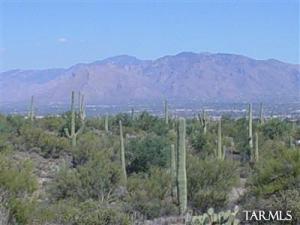 3909 N Dos Vistas  Tucson Arizona 85745