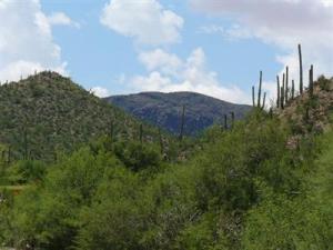 2103 S Twinkling Starr Dr Tucson Arizona 85745