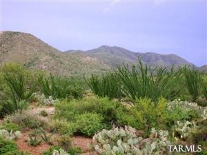 18589 S Ava Ridge Pl Vail Arizona 85641